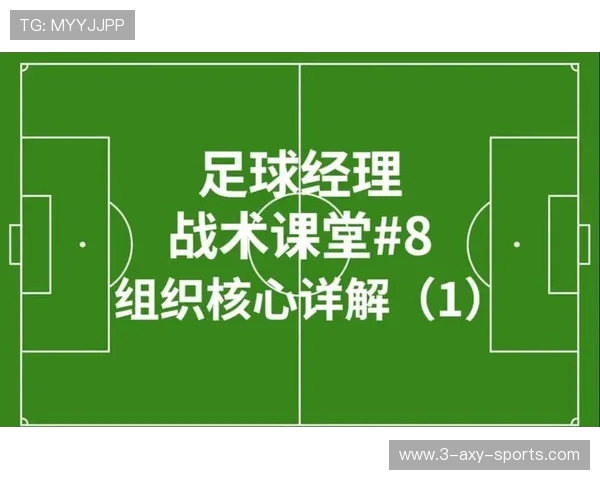 南京足球队的节奏解析与未来发展展望